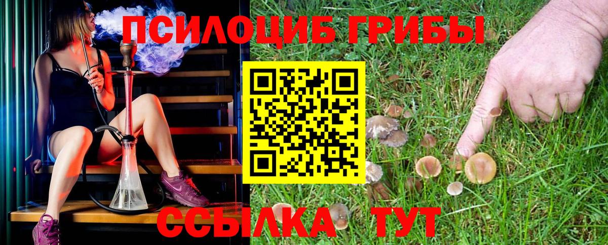 магазин продажи   Вход с VPN  Урус-Мартан  Галлюциногенные грибы Psilocybe 